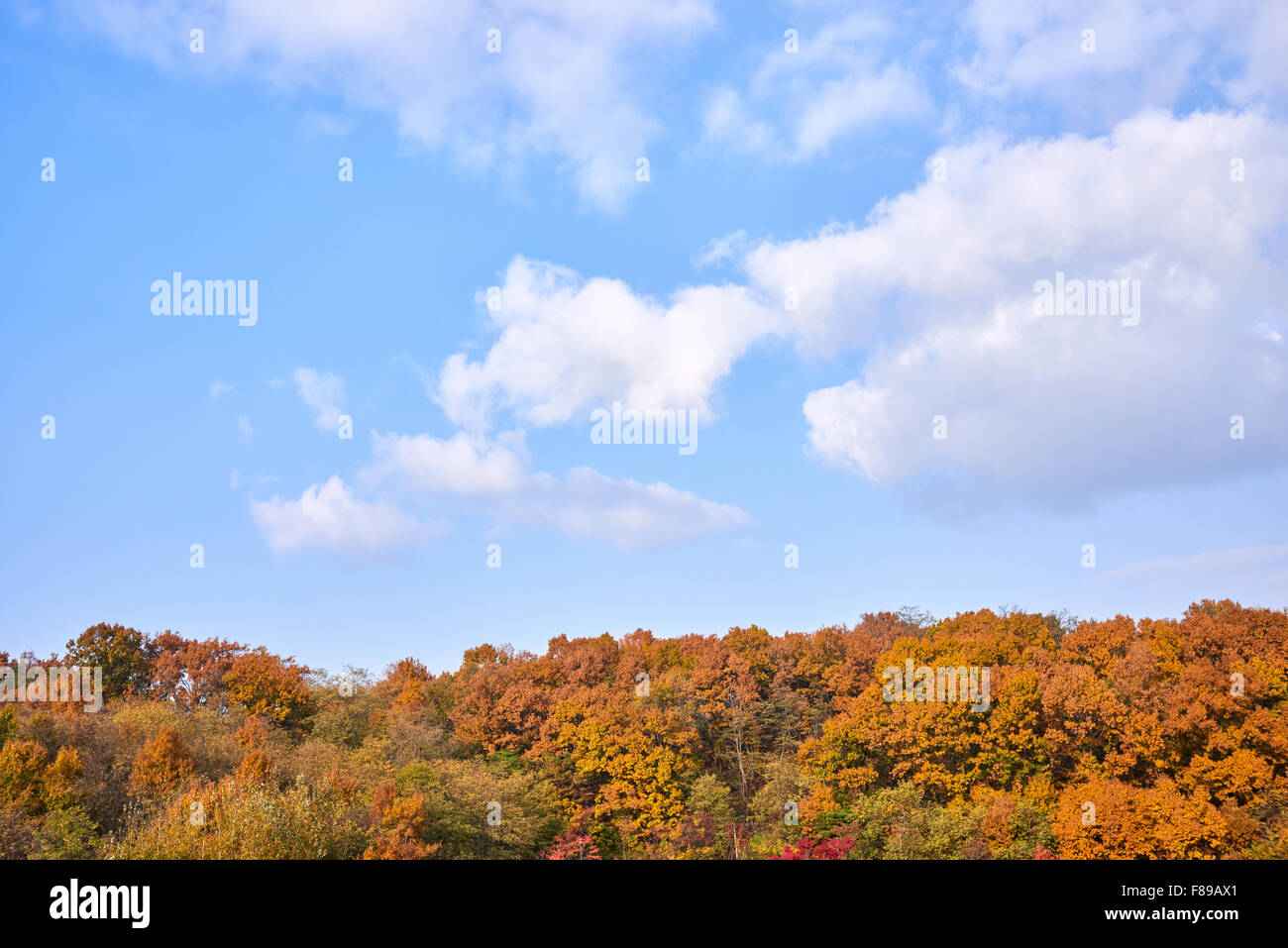 Cielo azul con nubes y colores de otoño en una montaña Foto de stock
