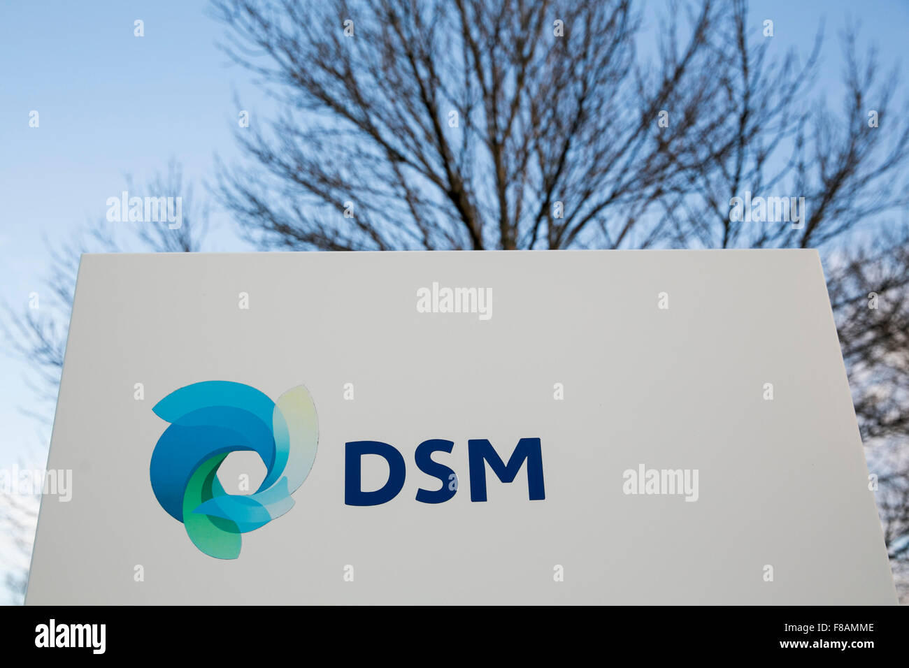 Un logotipo cartel fuera de una instalación ocupada por Royal DSM en Windsor, Connecticut el 21 de noviembre de 2015. Foto de stock
