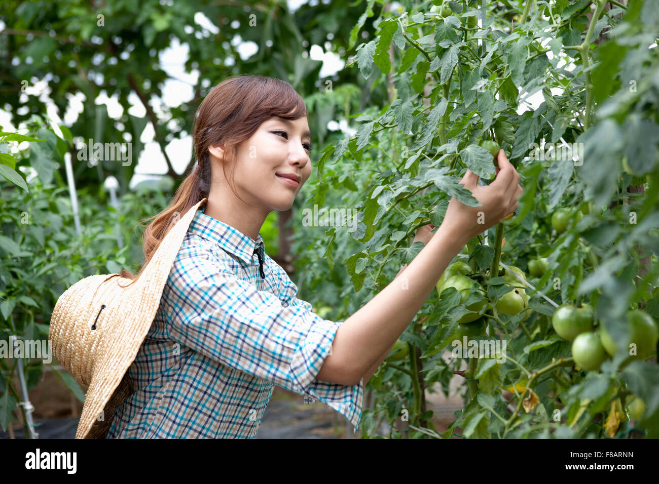 Vista lateral retrato de mujer observando el tomate verde con una sonrisa Foto de stock