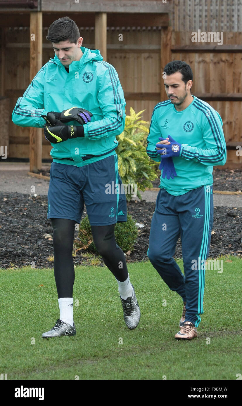Survet chelsea 2015 cheap