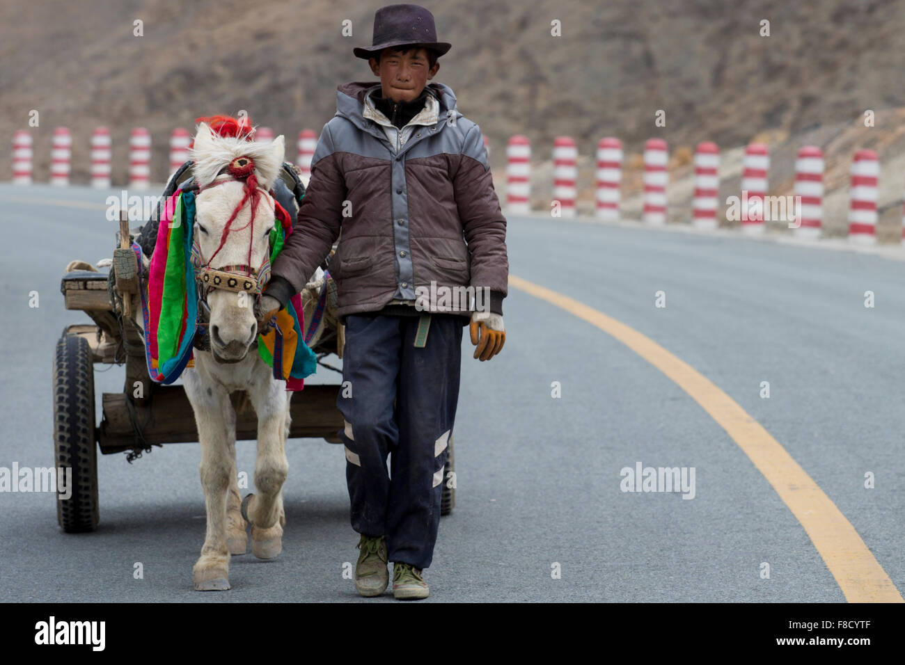 Un adulto joven agricultor con su caballo caminando en la carretera Foto de stock