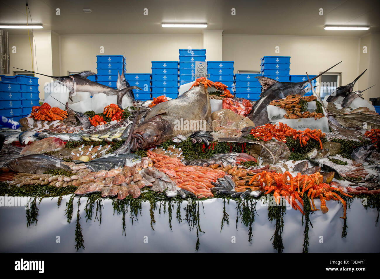 El pescado fresco se observan durante la inauguración del nuevo