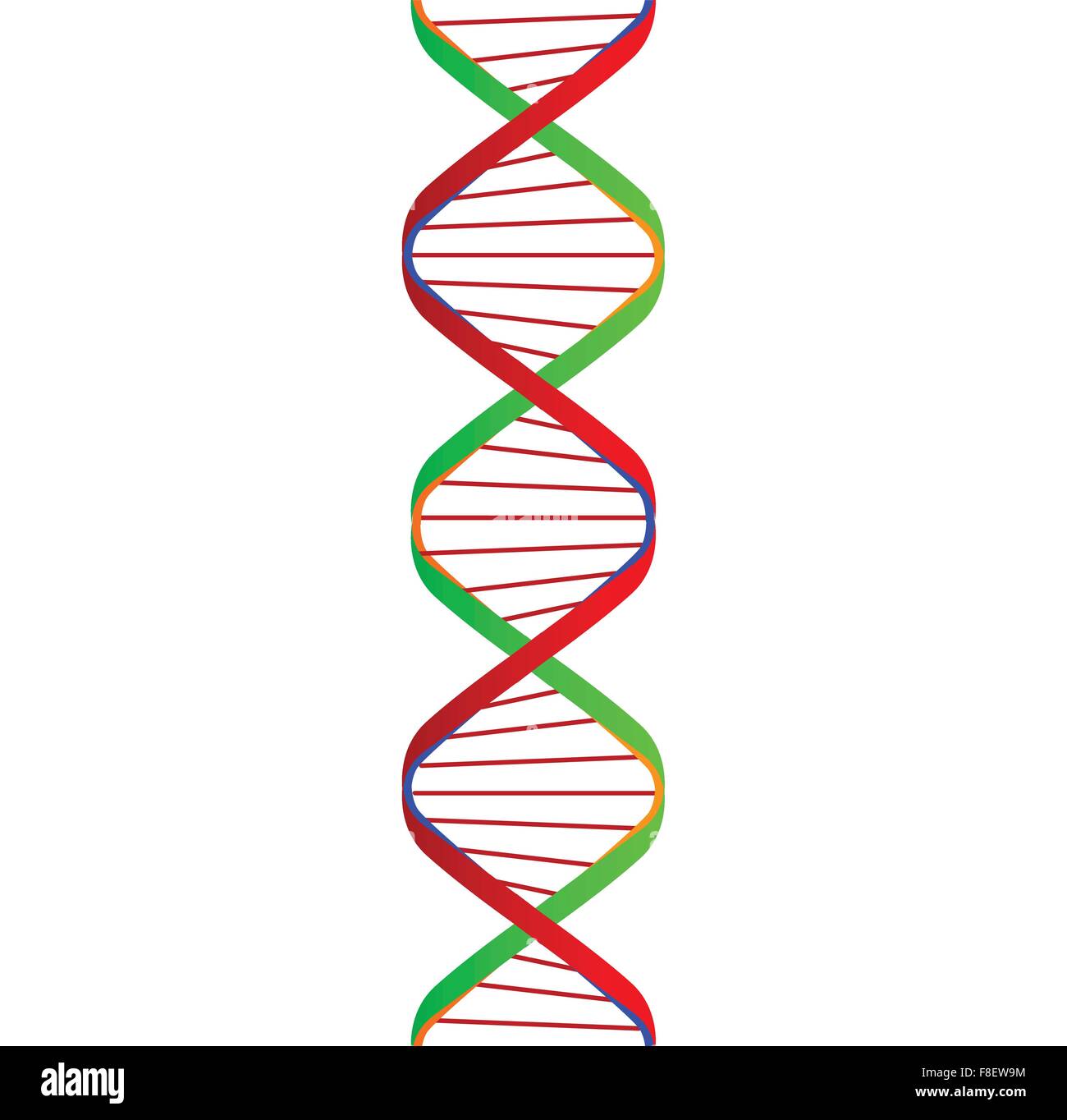 Representación de dibujos animados de las dos cintas de ADN con hilos de  conexión Imagen Vector de stock - Alamy