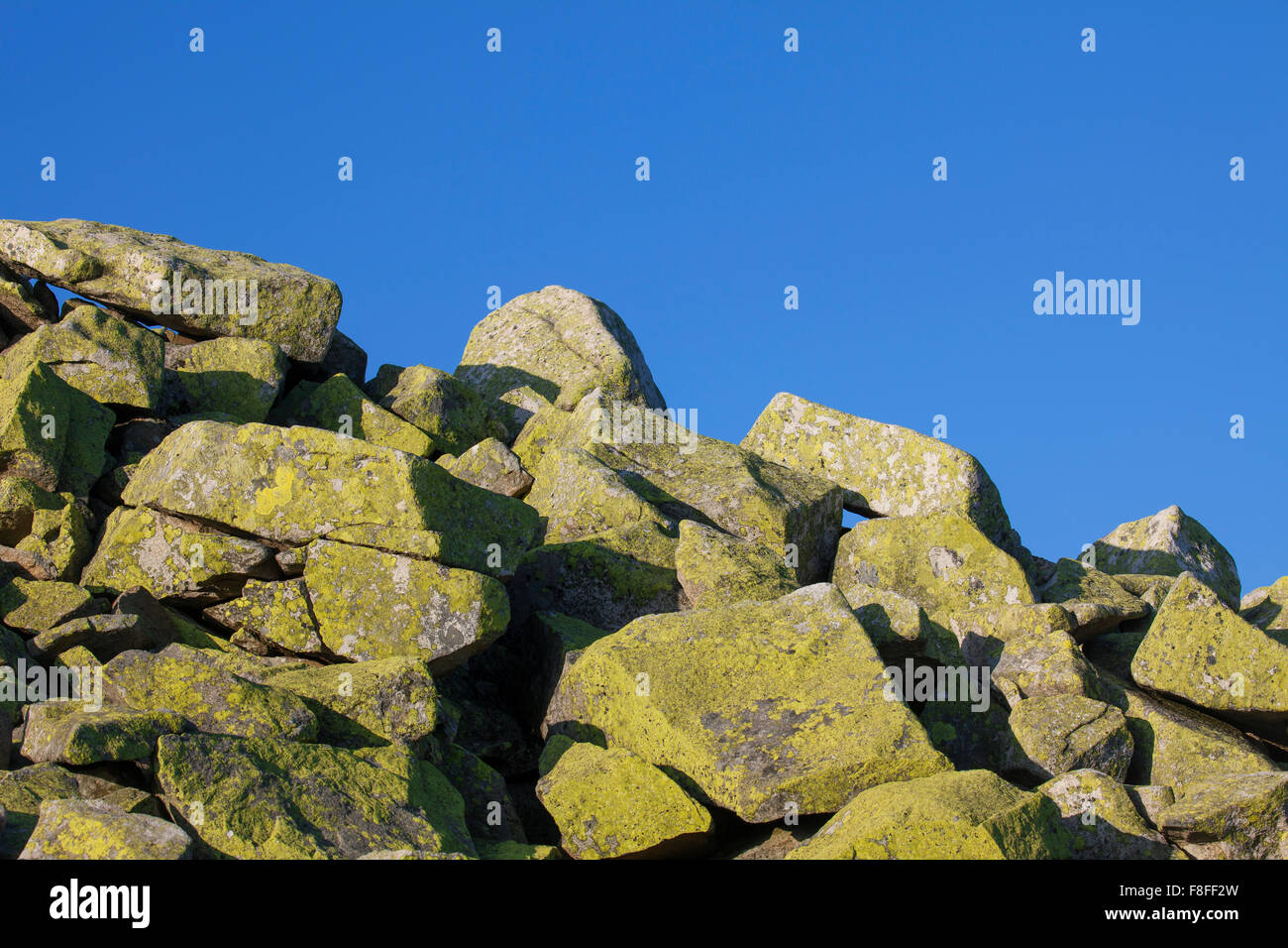 Ejecutar con piedras enormes rocas cubiertas de líquenes en el monte Lusen, Parque Nacional del Bosque Bávaro, Baviera, Alemania Foto de stock