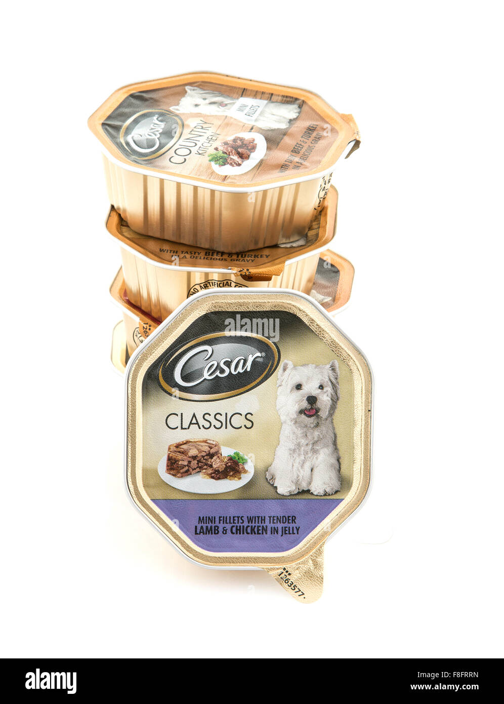 Montón de César clásicos comida de perro sobre un fondo blanco. Foto de stock