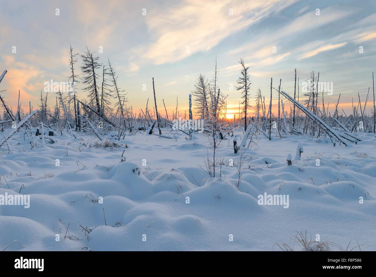 Los hermosos paisajes de la naturaleza salvaje de la península de Yamal, Rusia Foto de stock