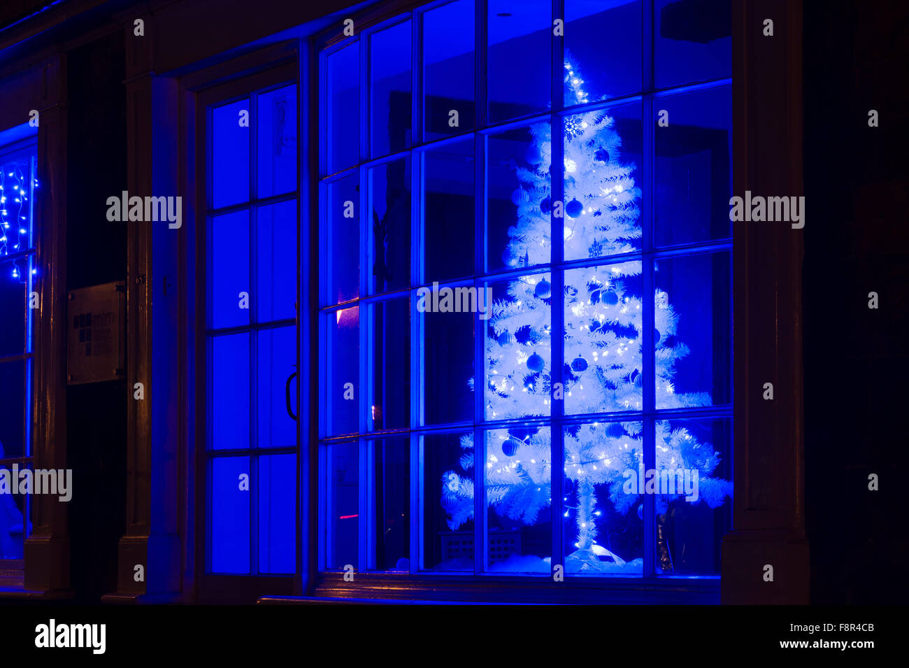 Árbol de Navidad azul shop ventana de visualización. Broadway, Cotswolds, Worcestershire, Inglaterra Foto de stock