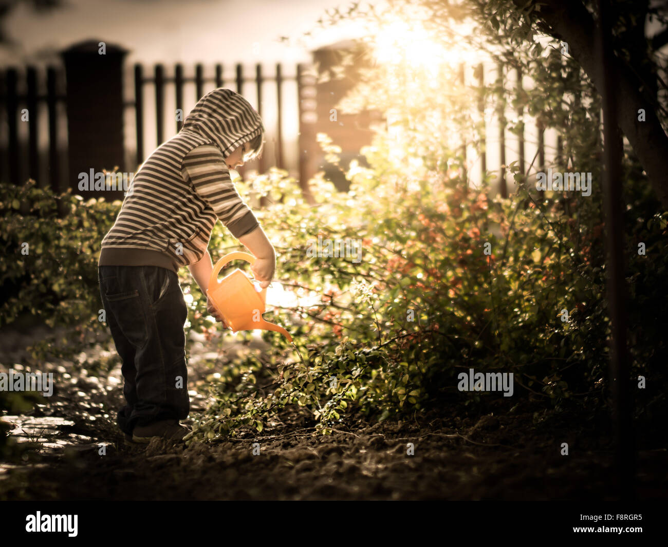 Muchacho regar las plantas en un jardín. Foto de stock