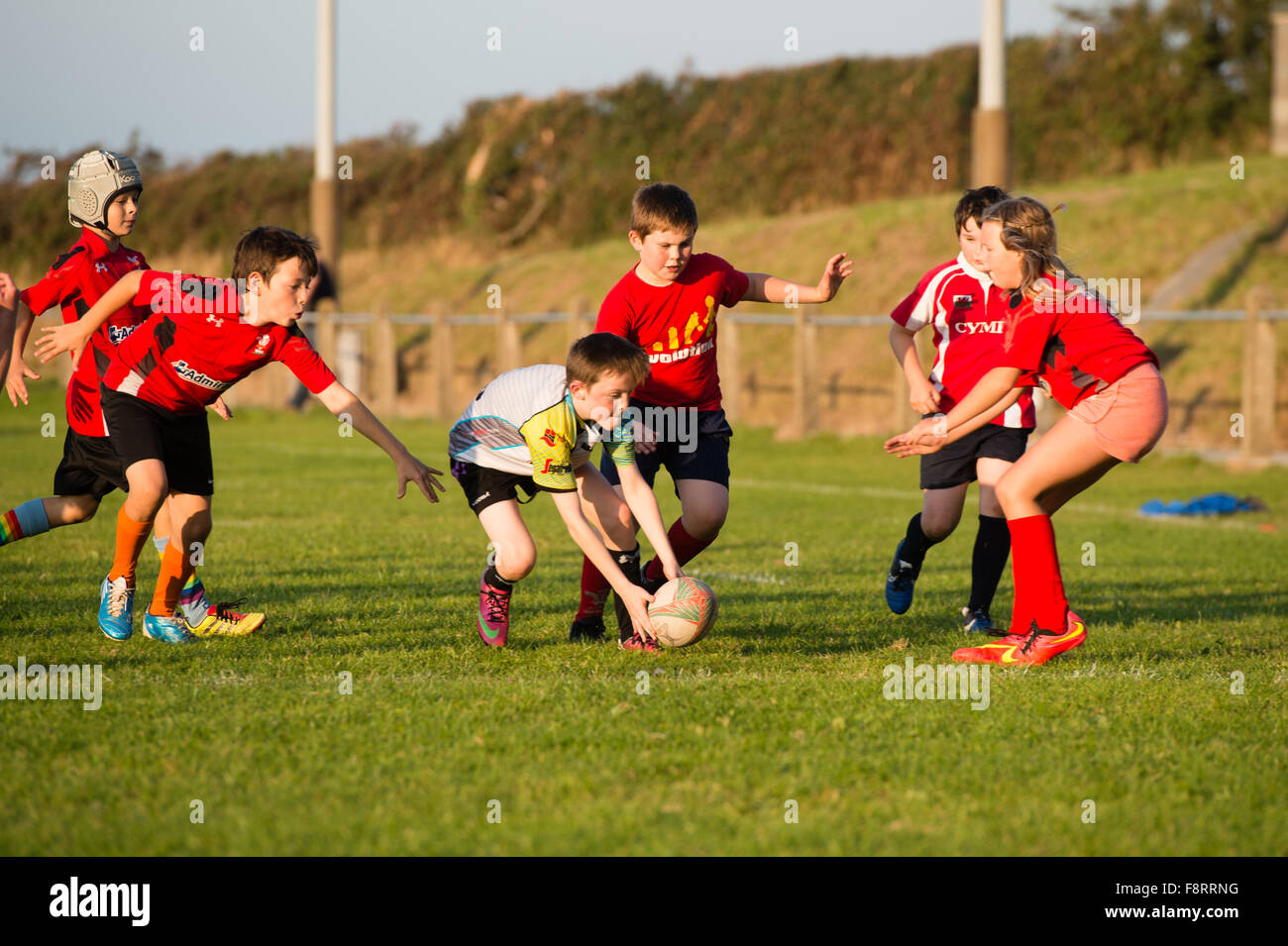 Jóvenes pre-adolescentes en edad escolar primaria los niños y las niñas que participan en el rugby formación coaching, Aberaeron Gales UK Foto de stock