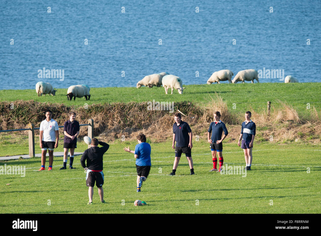 Los hombres jóvenes niños toman parte en rugby coaching formación práctica, sobre la costa de Cardigan Bay, junto a un campo lleno de ovejas, Aberaeron Gales UK Foto de stock