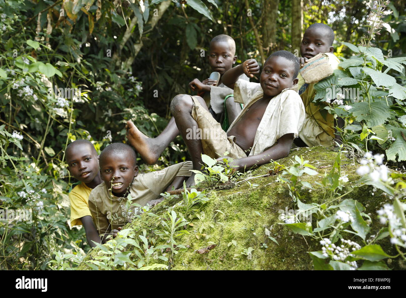 Los niños, los niños sentados en la selva, Matamba-Solo, en la provincia de Bandundu, Congo-Brazzaville Foto de stock