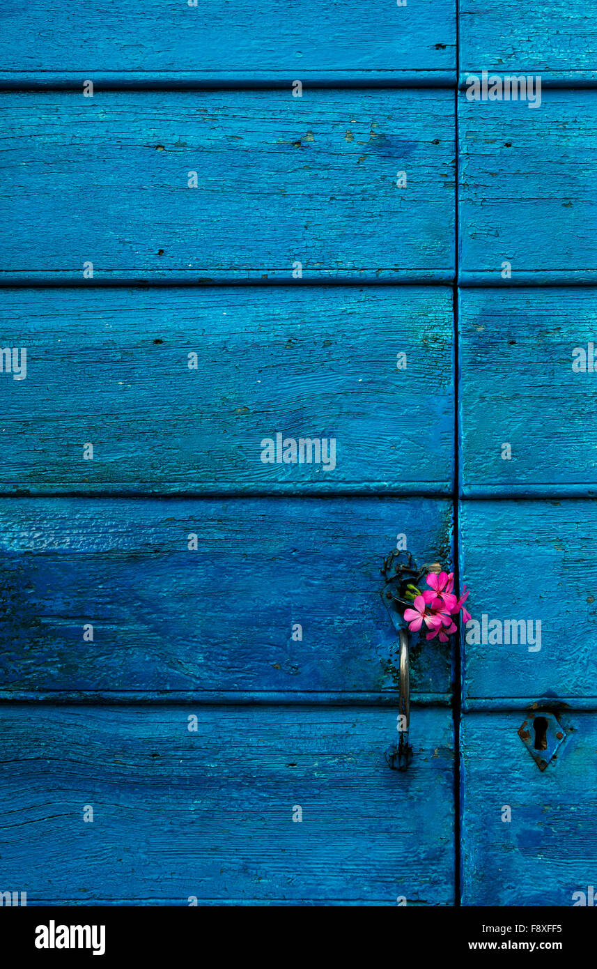 Puerta de madera azul con flores. Foto de stock
