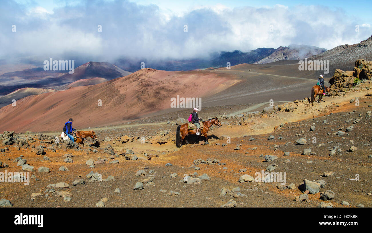 A caballo llegan hasta la arena deslizante Trail en Haleakala National Park Foto de stock