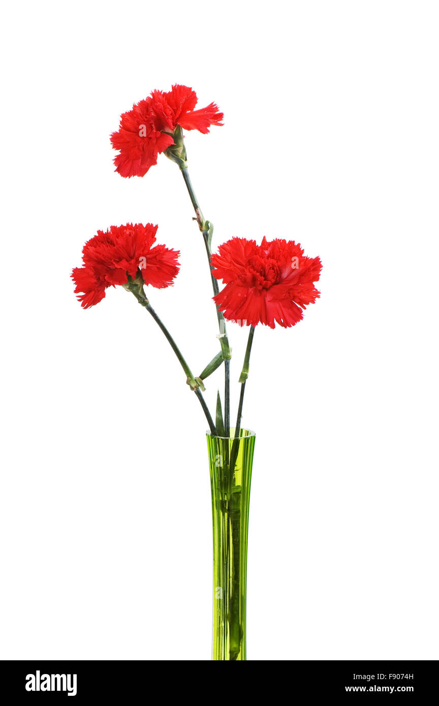 Tres claveles rojos en florero verde aislado en blanco Fotografía de stock  - Alamy