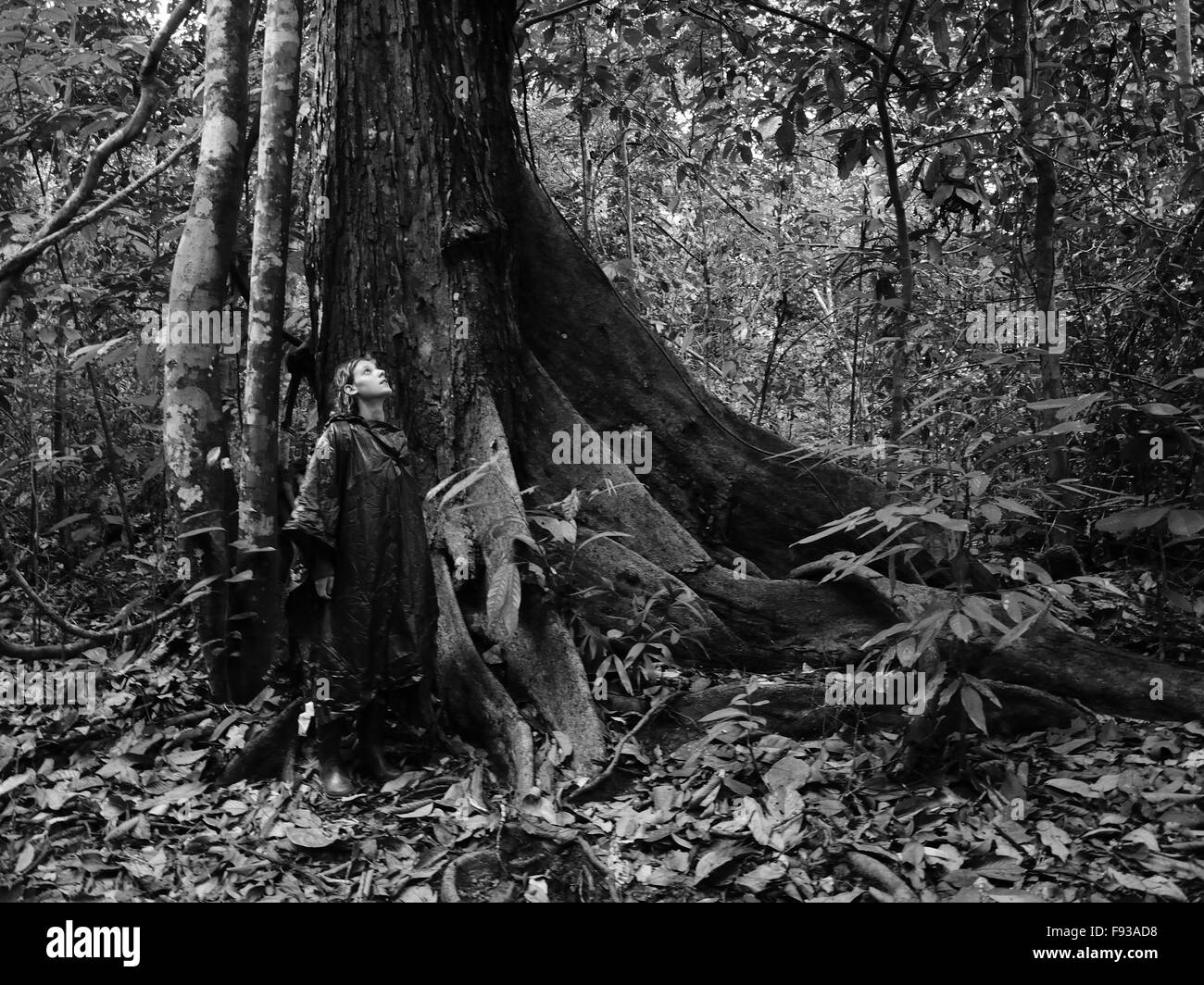 Una niña en la selva de Borneo Foto de stock