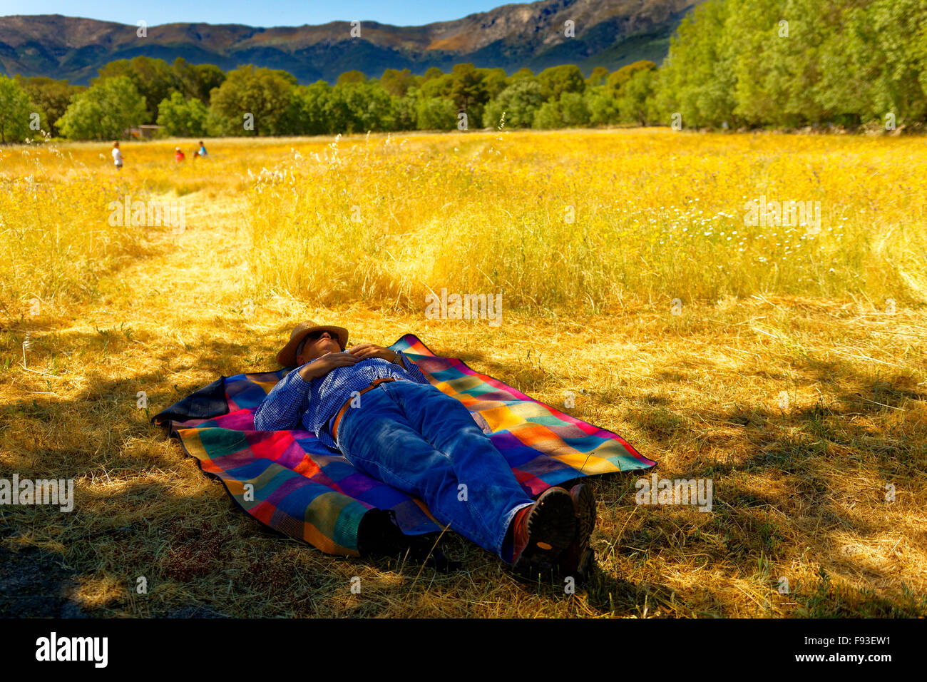 Un campesino tomando siesta en un campo amarillo, mientras que otros están trabajando Foto de stock