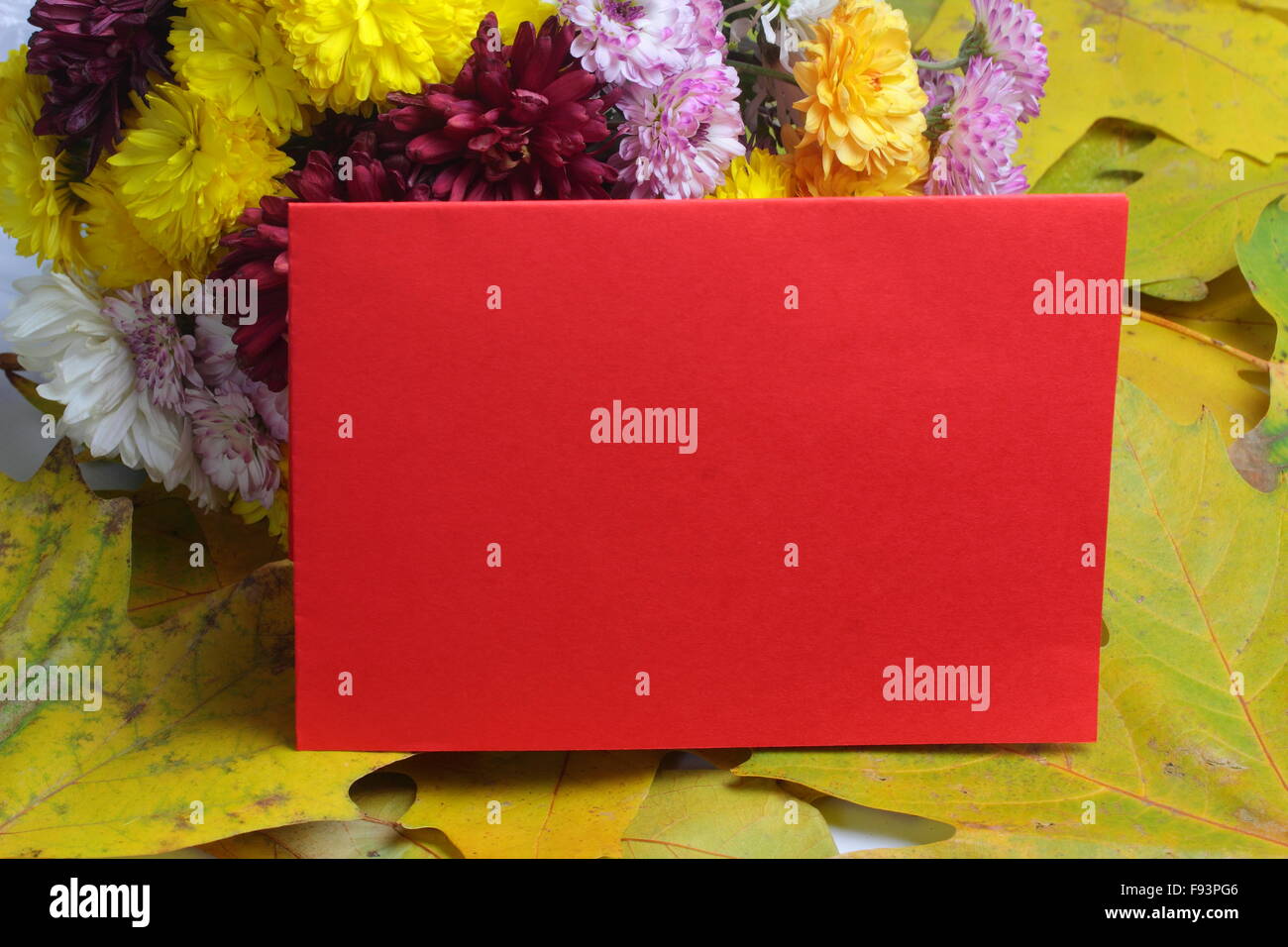 Tarjeta de felicitación de mentira, ramo de flores, hojas Foto de stock