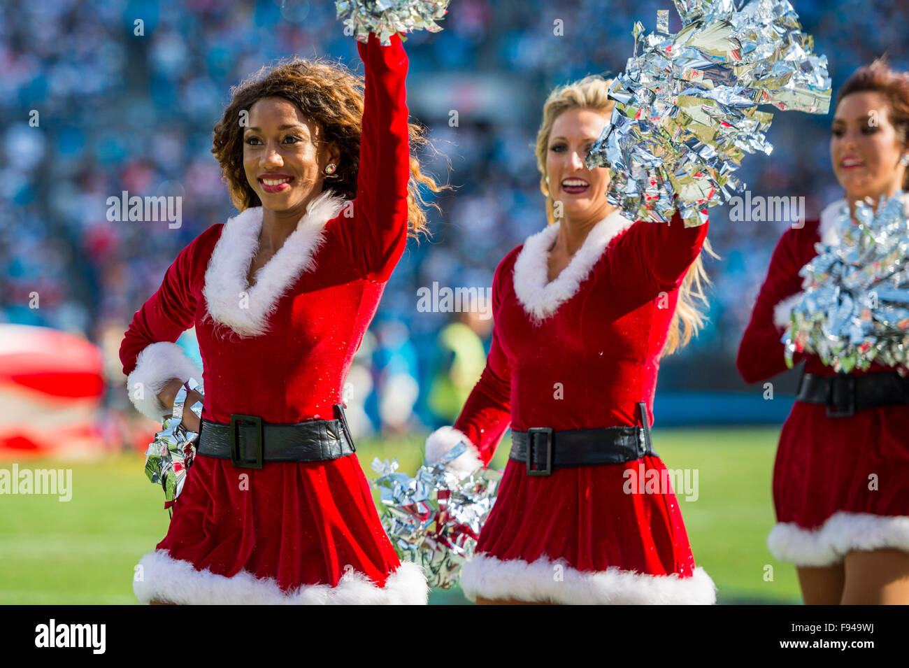 Charlotte, Carolina del Norte, EE.UU. 13 de diciembre de 2015. Las Panteras  de Carolina Topcats cheerleaders durante el juego de fútbol americano de la  NFL entre los Atlanta Falcons y Carolina Panthers