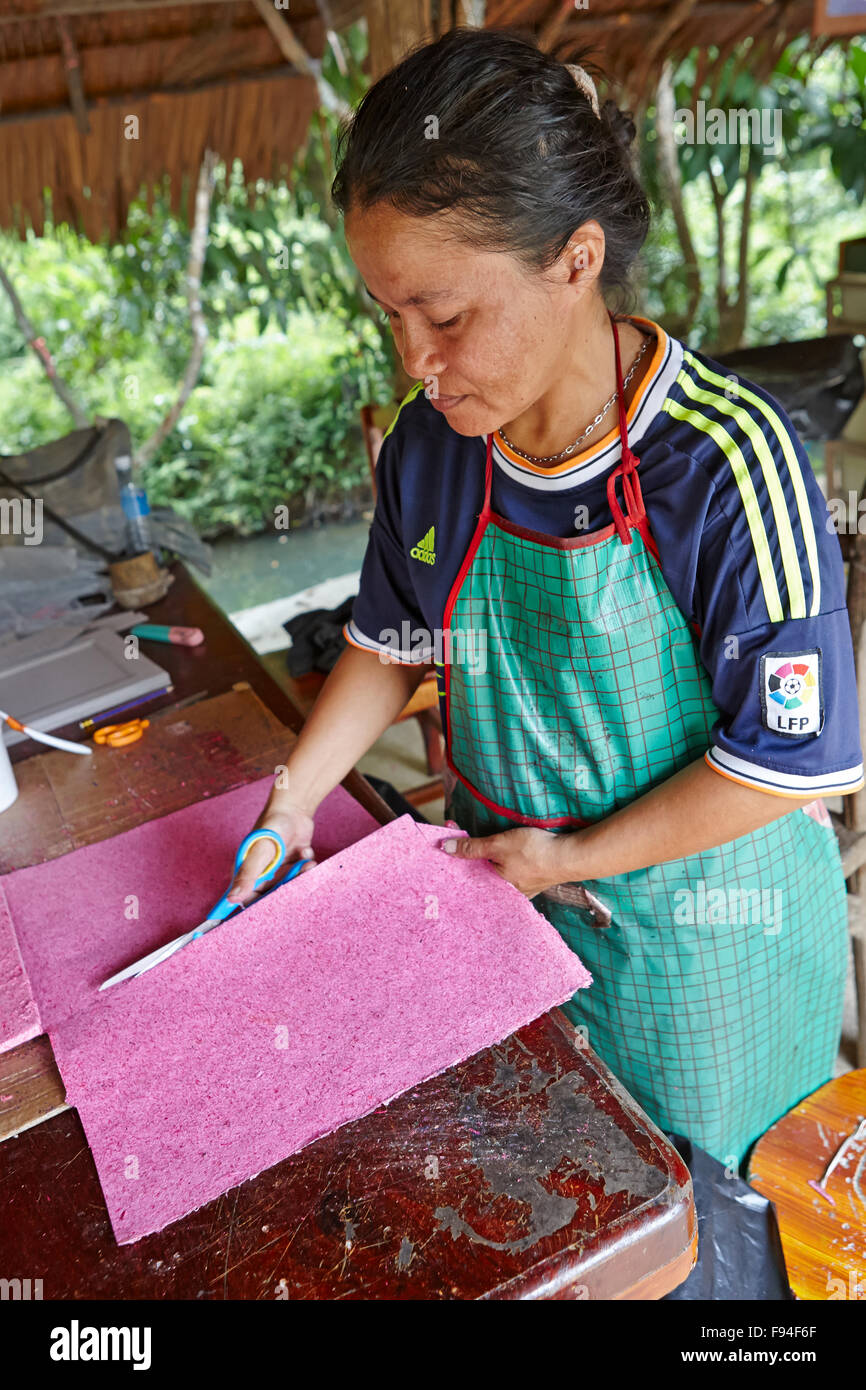 El trabajador del campamento de elefantes corta papel hecho a mano a partir de estiércol de elefante. Provincia de Krabi, Tailandia. Foto de stock