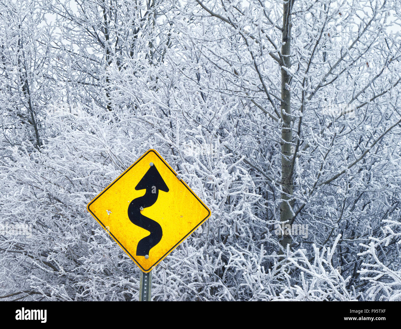Signo de la curva y los árboles en invierno cerca de Cochrane, Alberta, Canadá Foto de stock