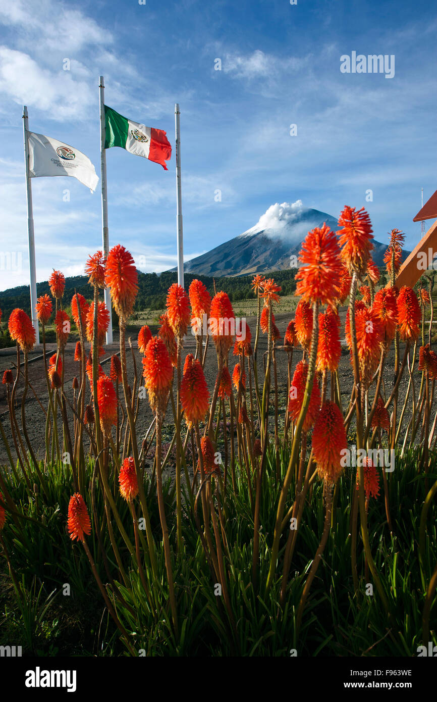 Las flores rojas y banderas en el campamento base del volcán 