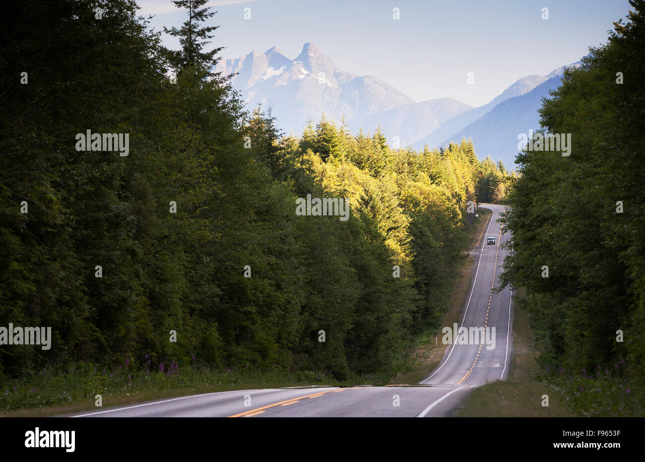 Montaña vistas a lo largo de la Hwy 19 north De Woss, antes Nimpkish Lake Foto de stock
