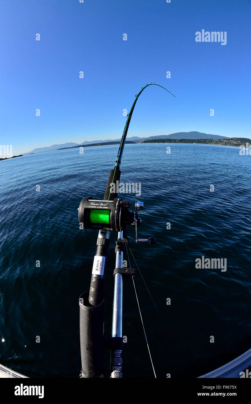 Una imagen vertical de una caña de pescar salmón a un downrigger amañado trolling para el salmón en el Estrecho de Georgia en Vancouver Foto de stock