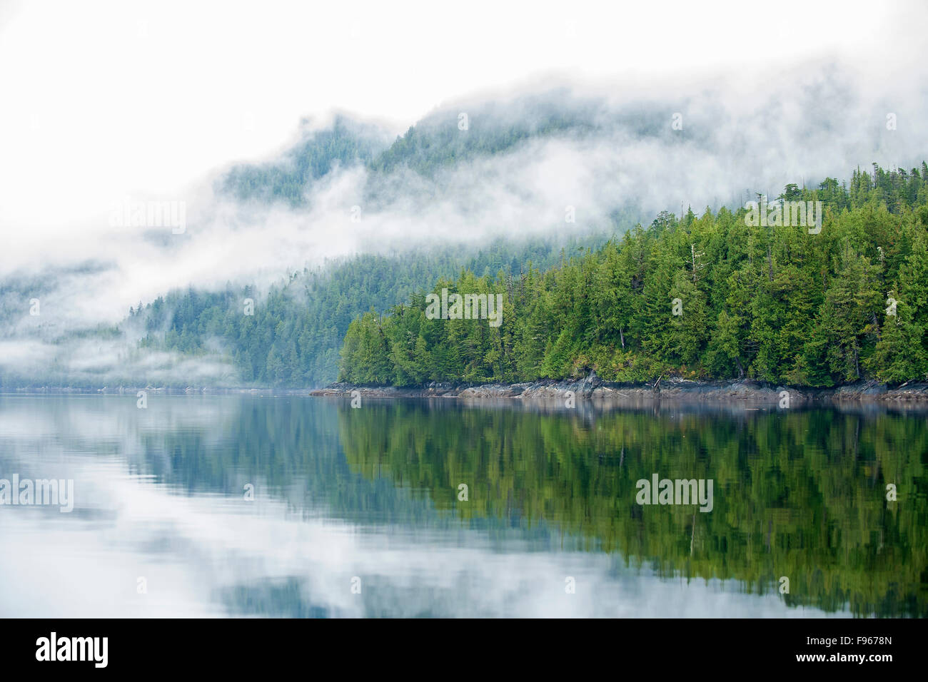 Great Bear Rainforest, westcentral en la costa de la Columbia Británica, Canadá Foto de stock