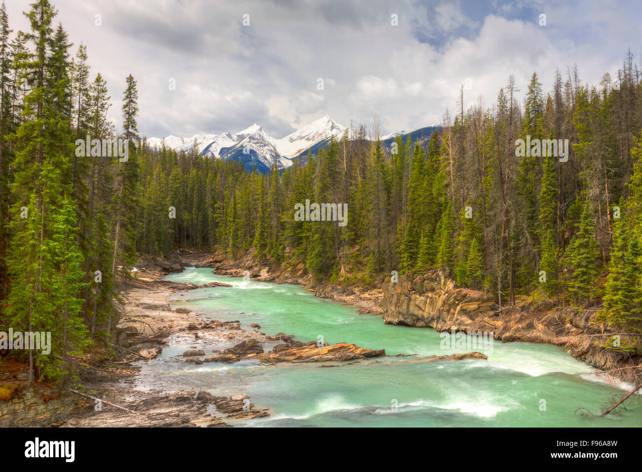 Kiking Horse River, Parque Nacional Yoho, British Columbia, Canadá Foto de stock