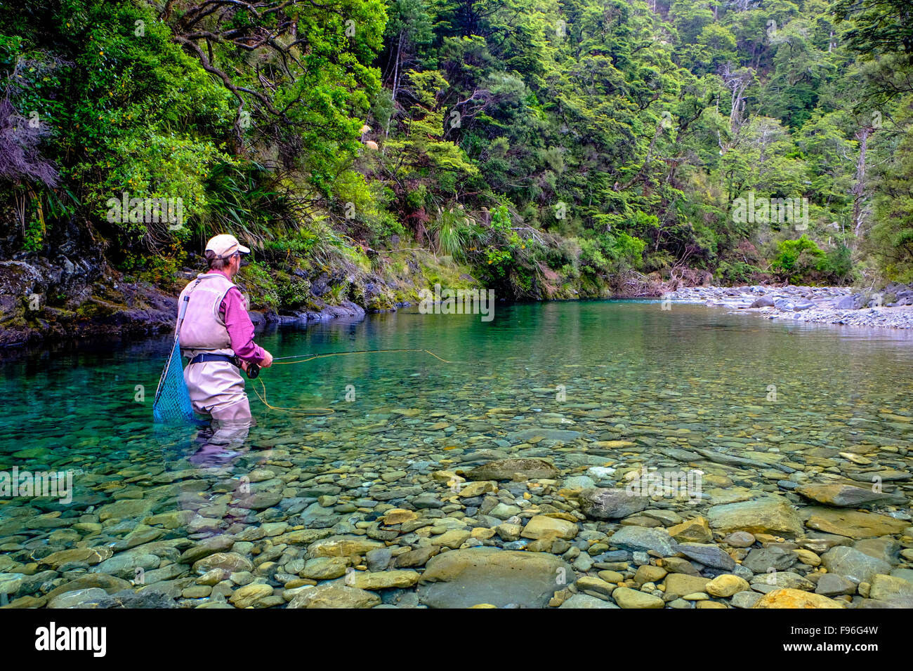 Hombre, la pesca con mosca en Río Mangamaire, meseta central, Nueva Zelanda Foto de stock