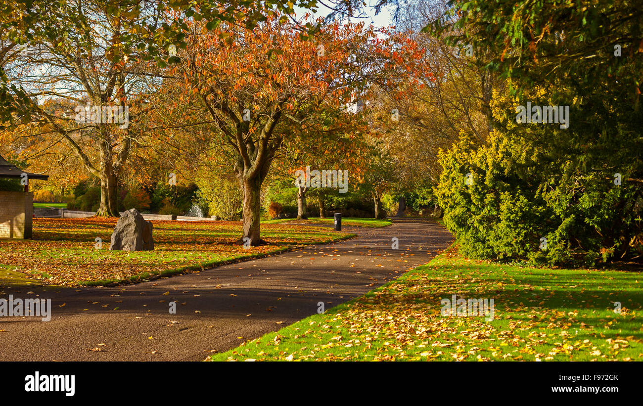 Escena de otoño en Fitzgerald Park, la ciudad de Cork, Irlanda Foto de stock