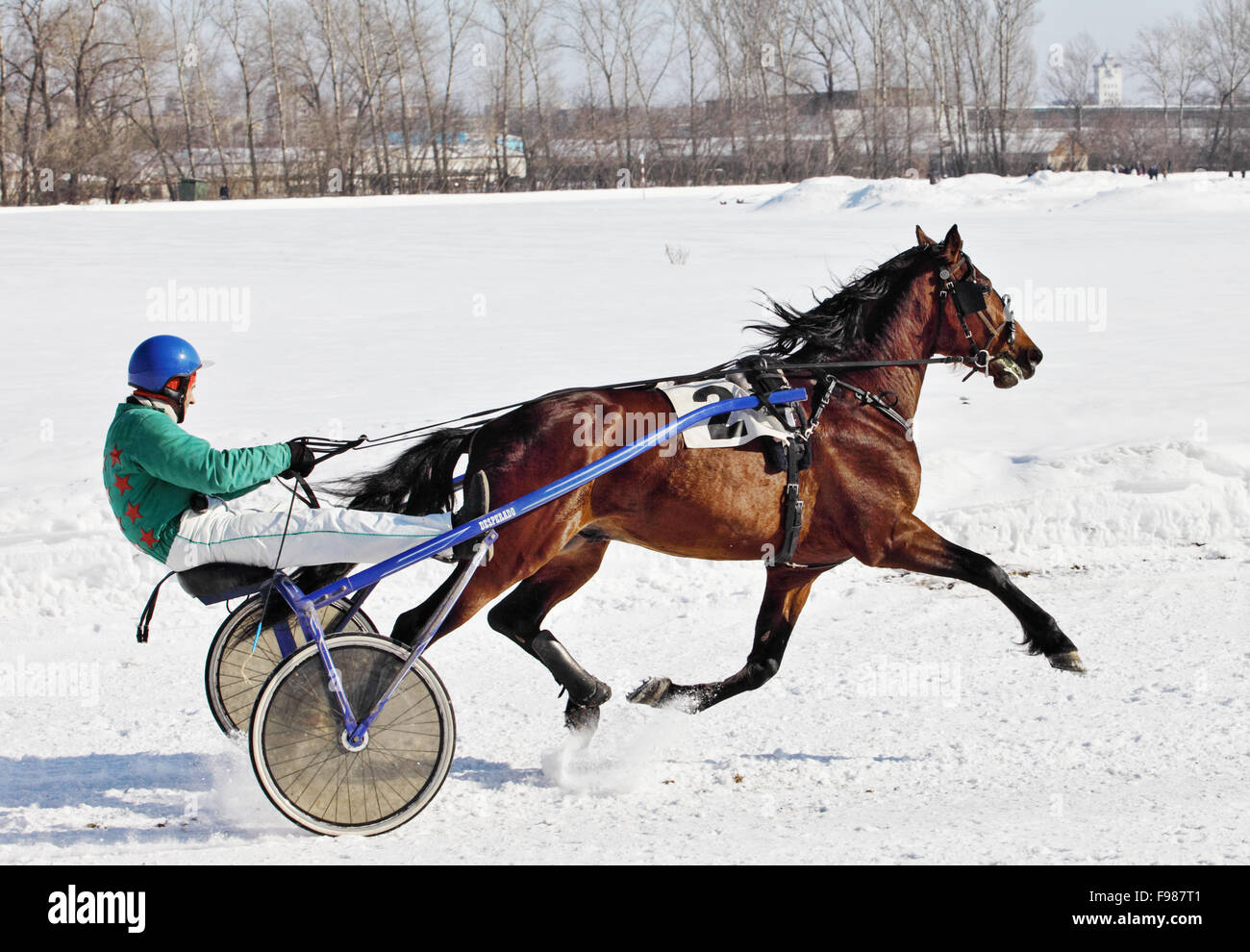Harness Racing en invierno, trotter carreras de caballos en el hipódromo Foto de stock