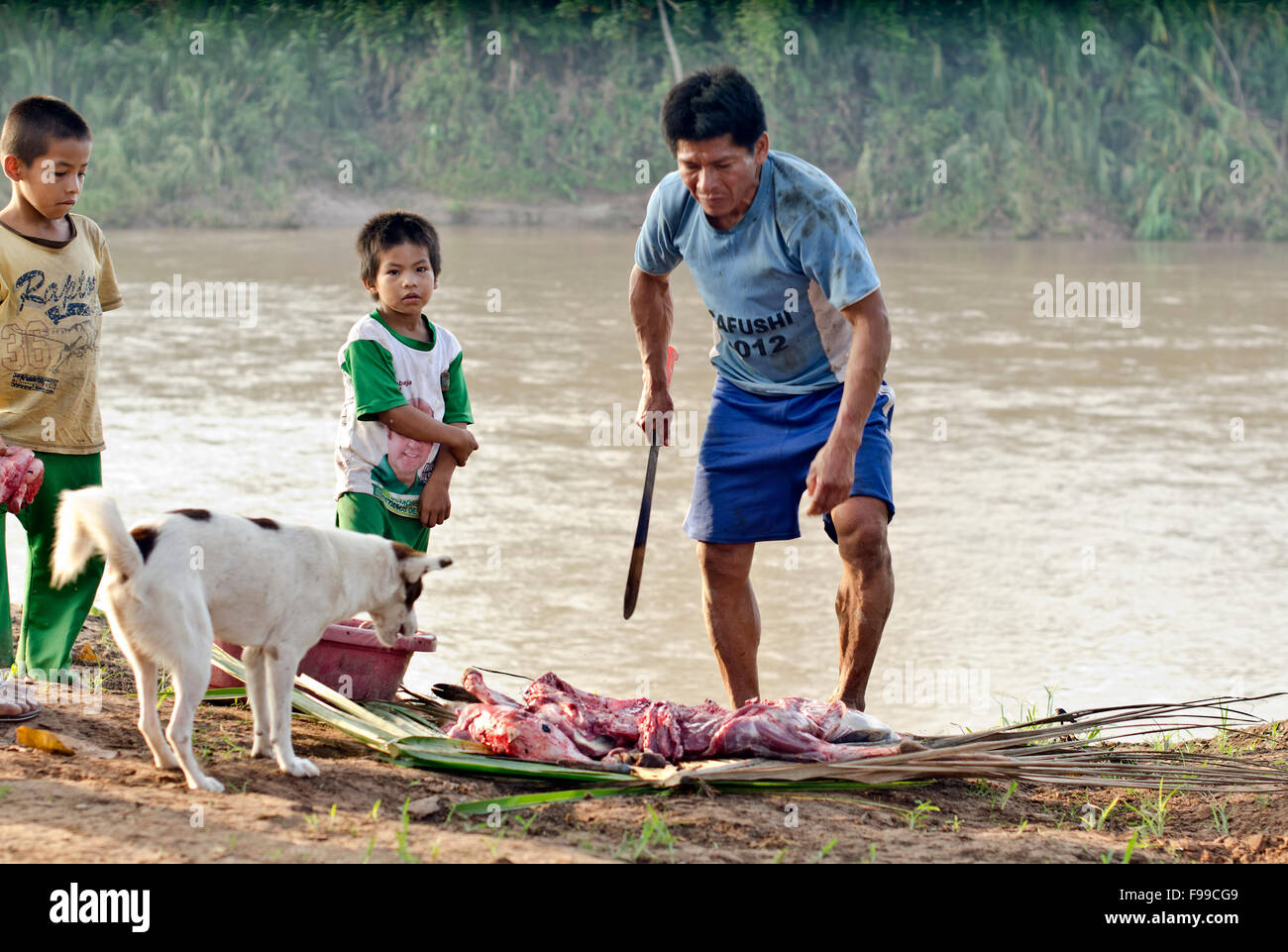 Cortar el juego, Manco Capac, Shipibo tribu remota aldea en un río Pisqui ,selva Amazónica Perú Foto de stock