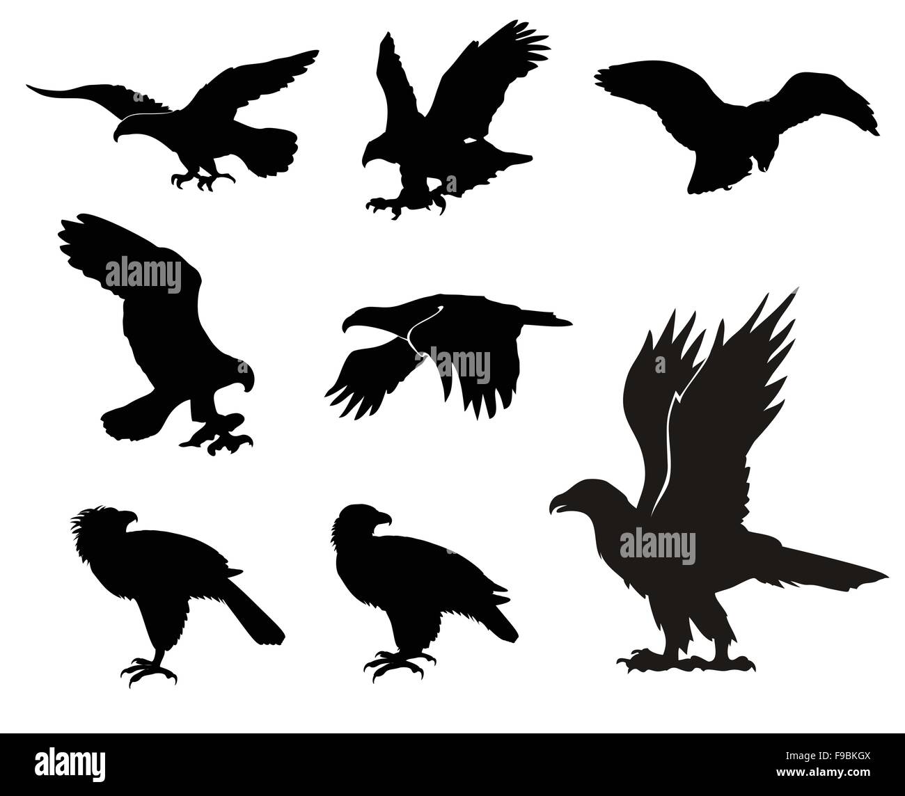 Siluetas de águila fotografías e imágenes de alta resolución - Alamy