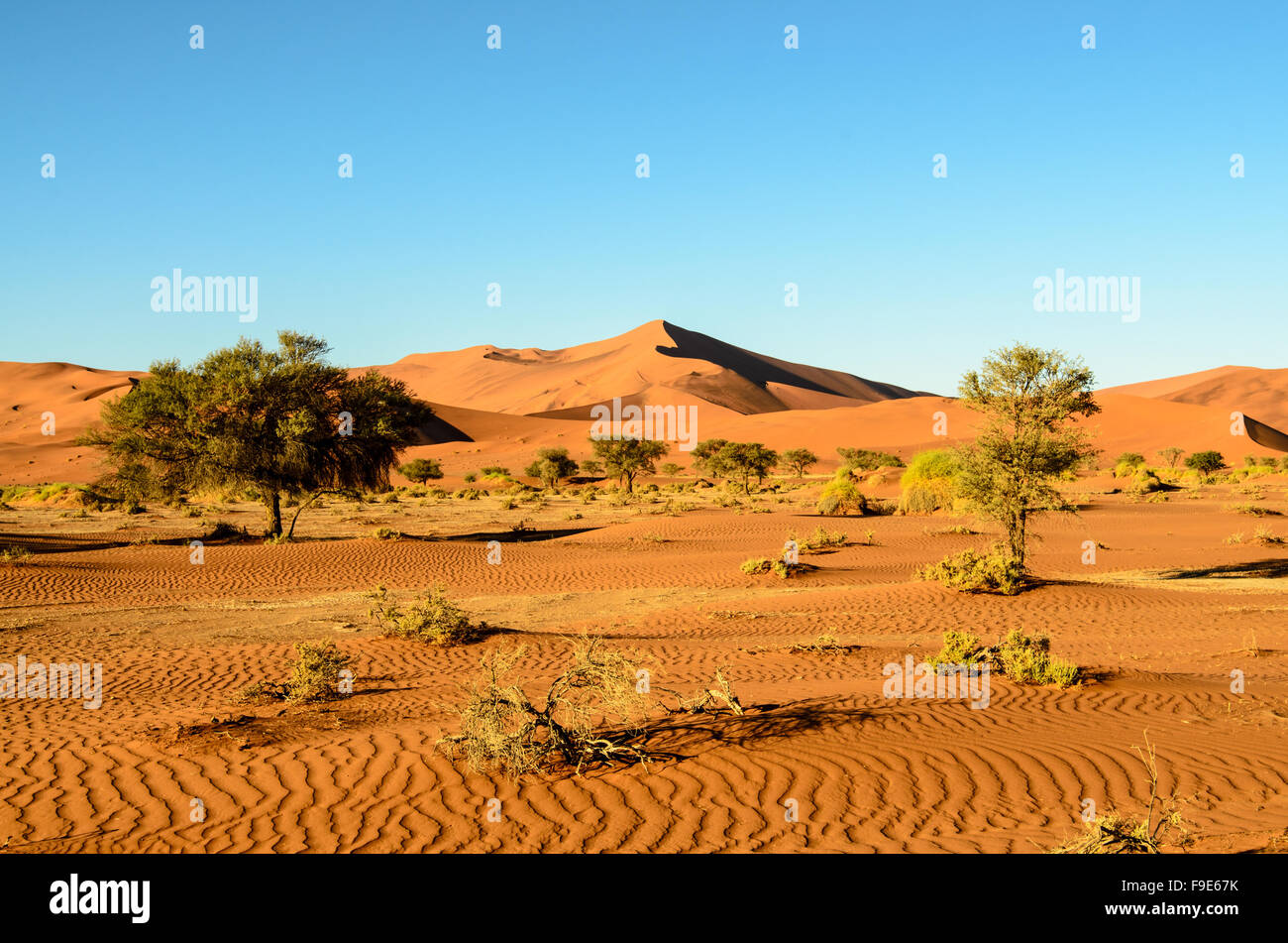 Las dunas de arena de Namibia Foto de stock
