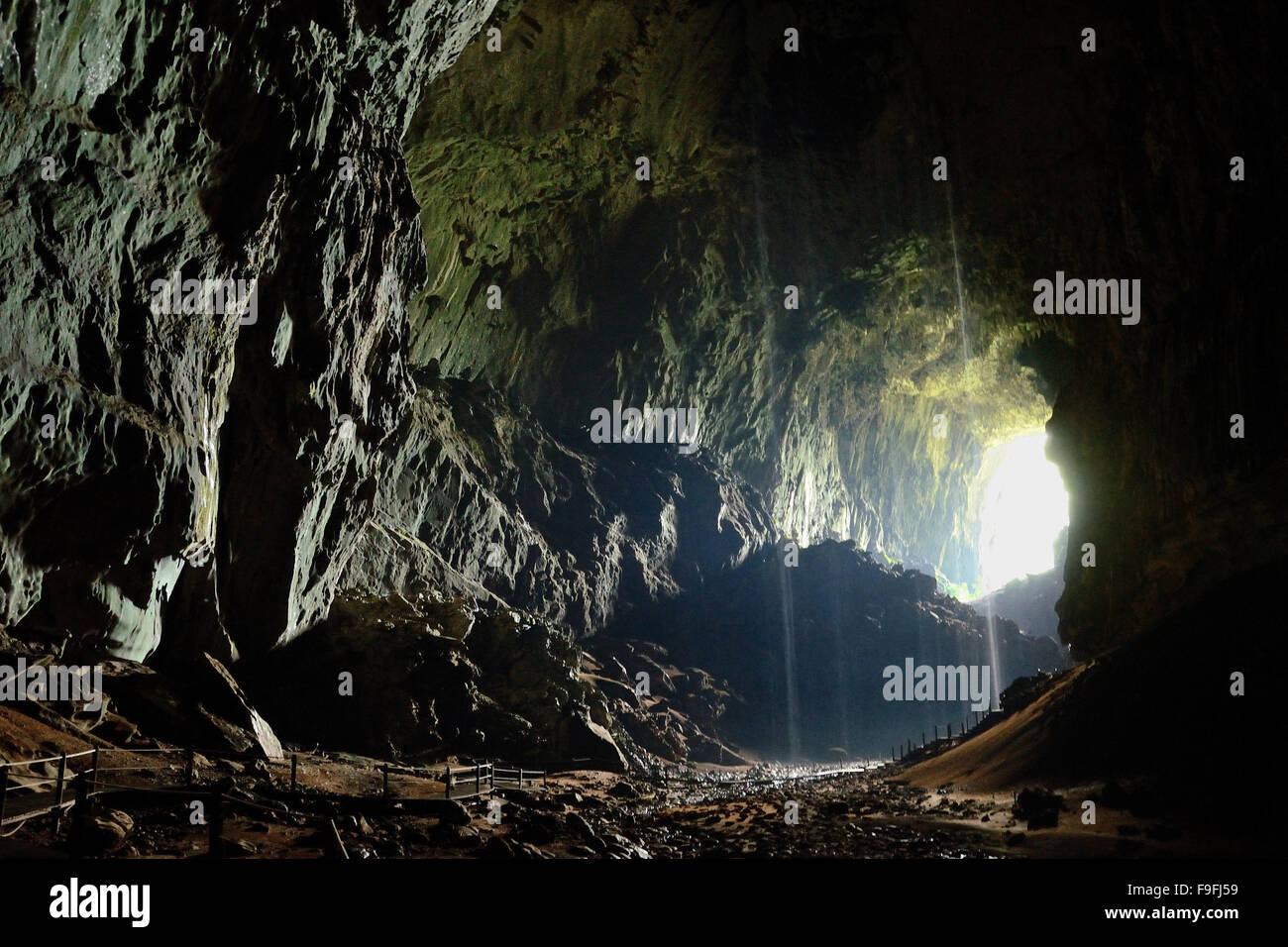 La cueva de los ciervos en el Parque Nacional de Gunung Mulu la cueva más grande de todo el mundo Foto de stock
