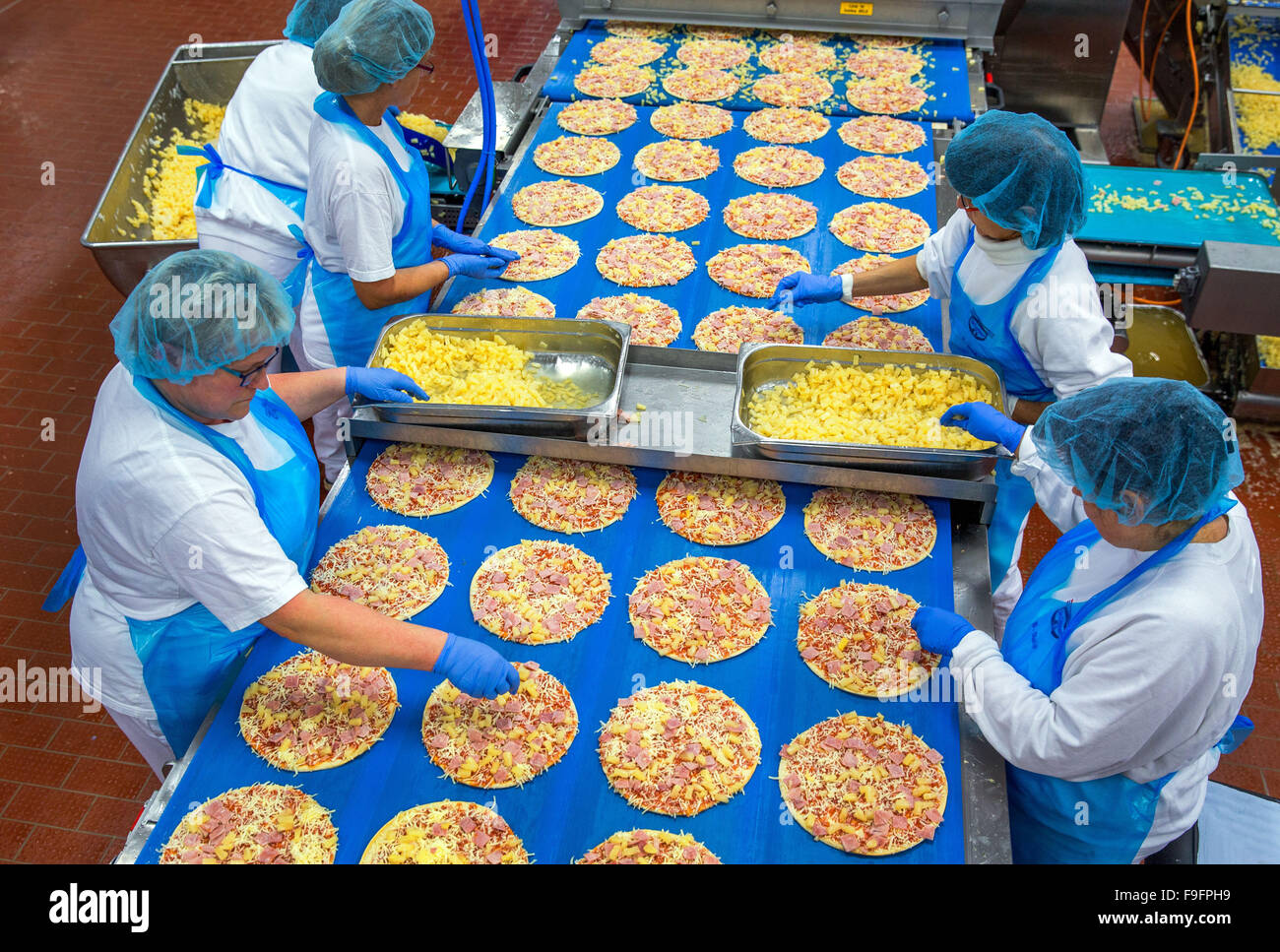 El personal de la línea de producción poner piña topping de pizzas  congeladas en la fábrica de la compañía de alimentos pizza Dr. Oetker en  Wittenburg, Alemania, 08 Decemeber 2015. El centro