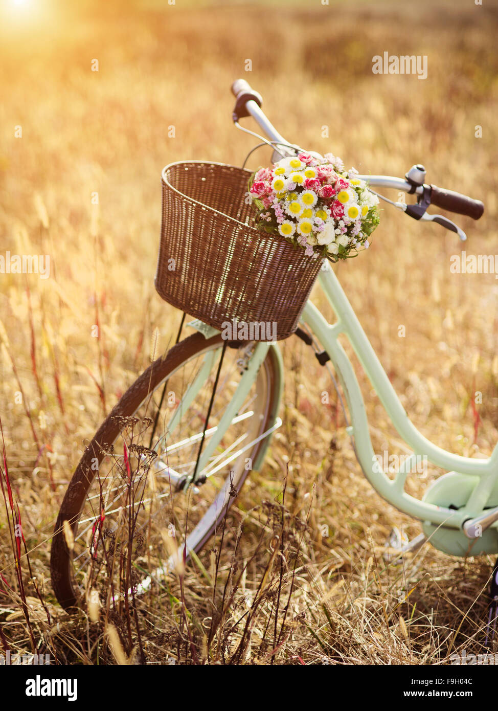Vintage bicycle basket fotografías e imágenes de alta resolución - Alamy