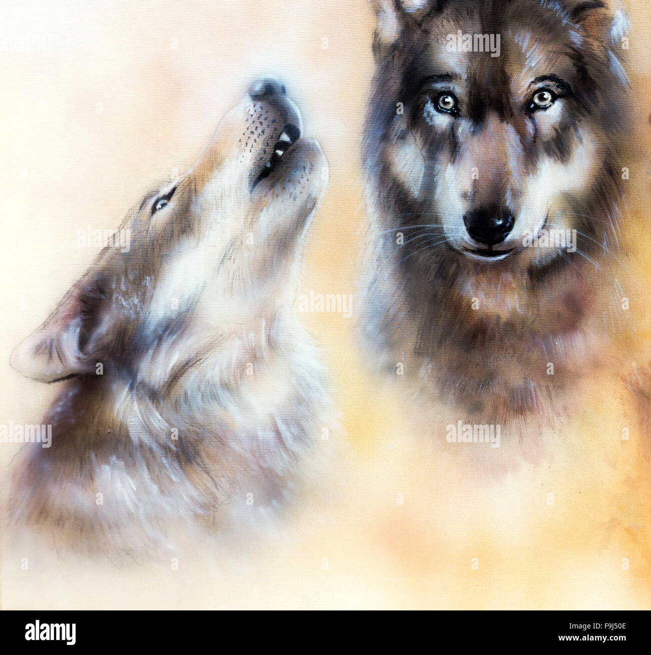 Pareja de lobos Fotografía de stock - Alamy
