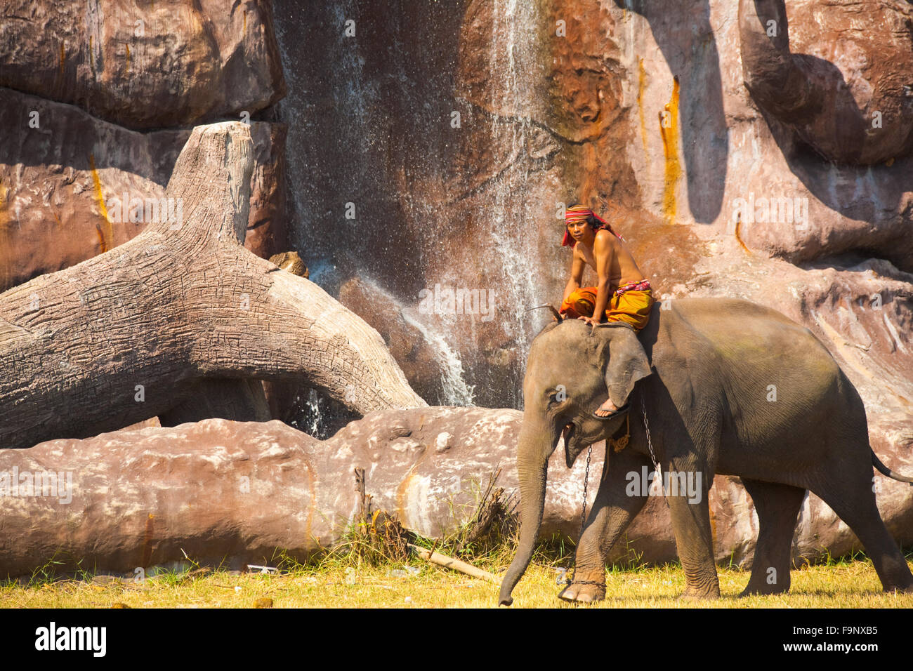 Un elefante camina en frente de la cascada artificial y acantilados antes de la actuación en el Rodeo de Elefantes de Surin anual Foto de stock