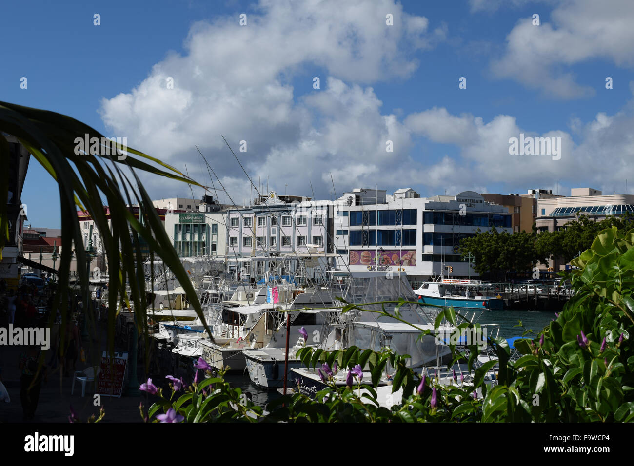 Bridgetown, Barbados, en el Caribe Foto de stock