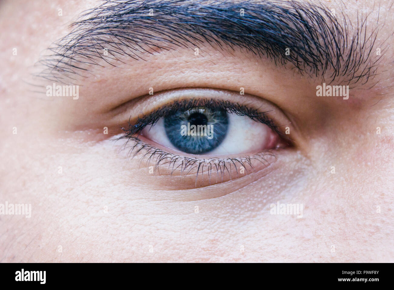 Los ojos azules de un adolescente Foto de stock