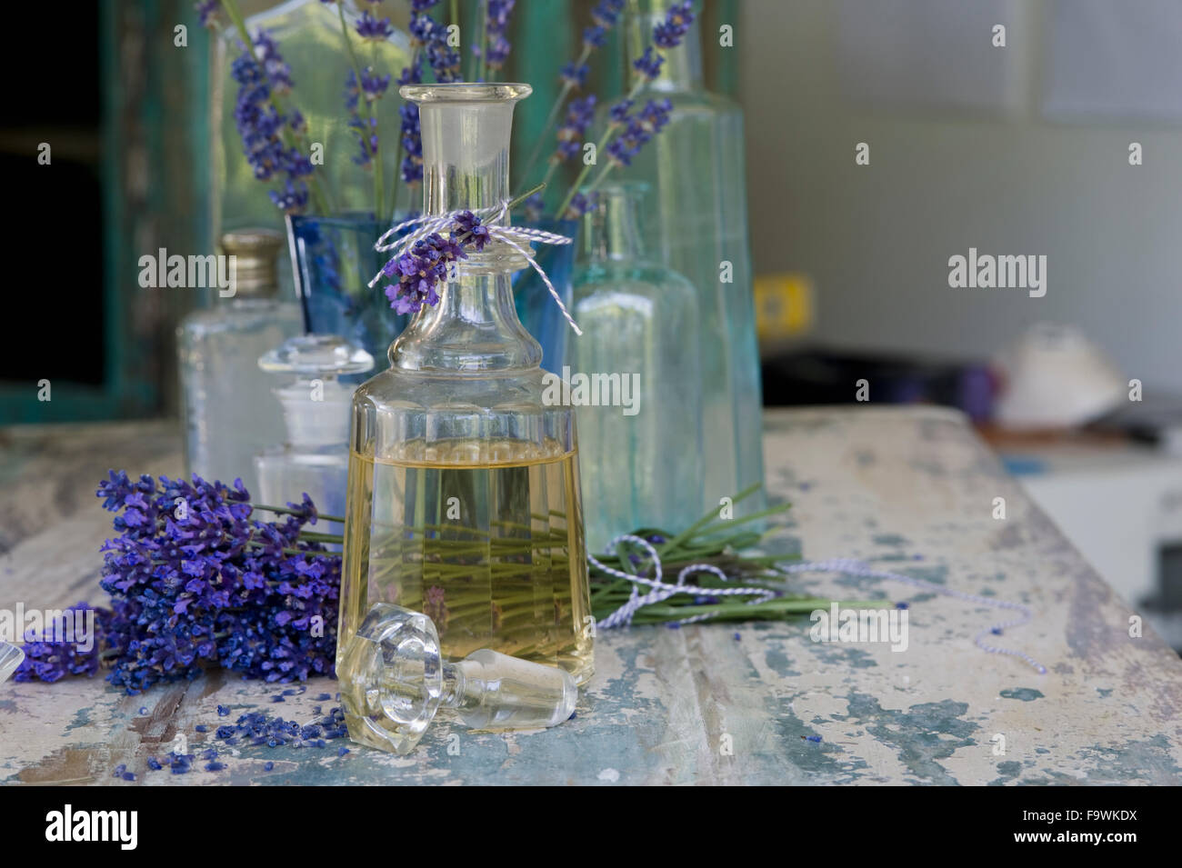 Lavender oil in bottle with flower fotografías e imágenes de alta  resolución - Página 9 - Alamy