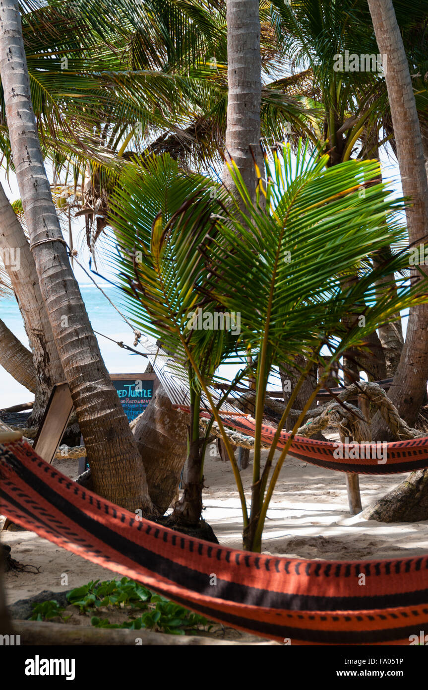 Primer plano de una hamaca para relajarse chillout atados a árboles de coco en la playa en el maíz Islans Bar Foto de stock