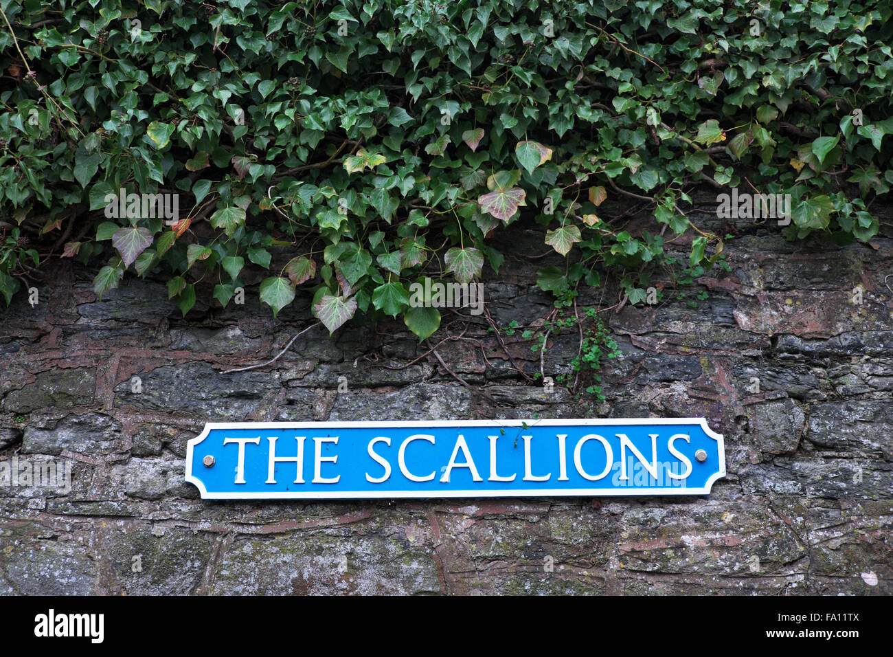Los cebollines nombre de carretera calle signo Presteigne Powys en Gales Foto de stock