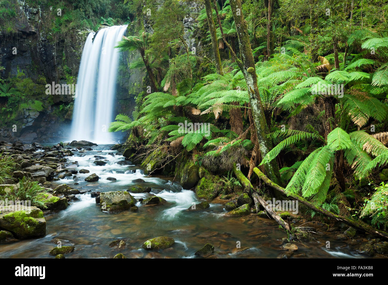 Cascada en una exuberante selva tropical. Fotografiado en el Hopetoun cae en el Parque Nacional Gran Otway en Victoria, Australia. Foto de stock