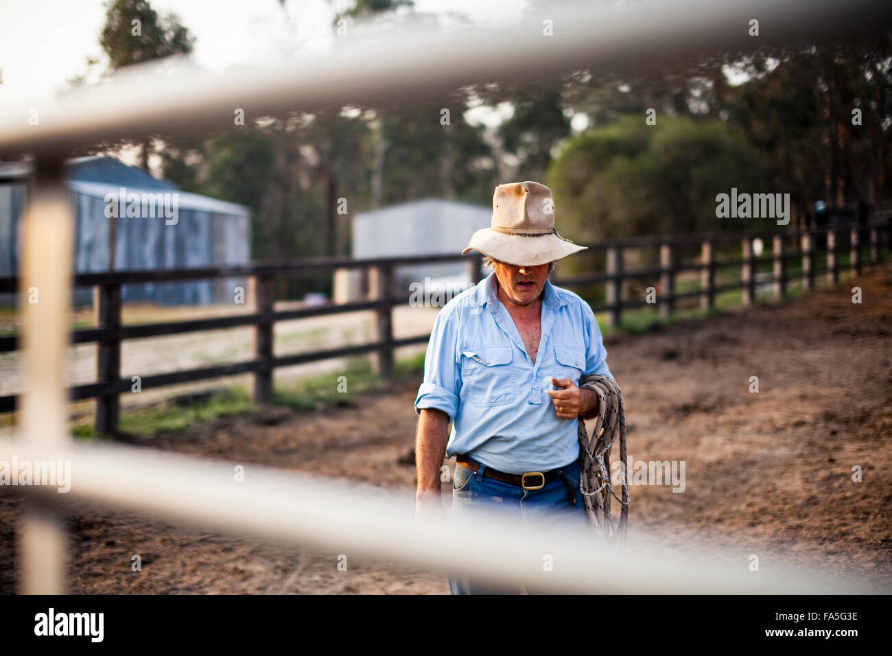 Stockman australiano y gran empresario de turismo del país, Steve Baird, en el patio de caballos en primavera Spur. Foto de stock