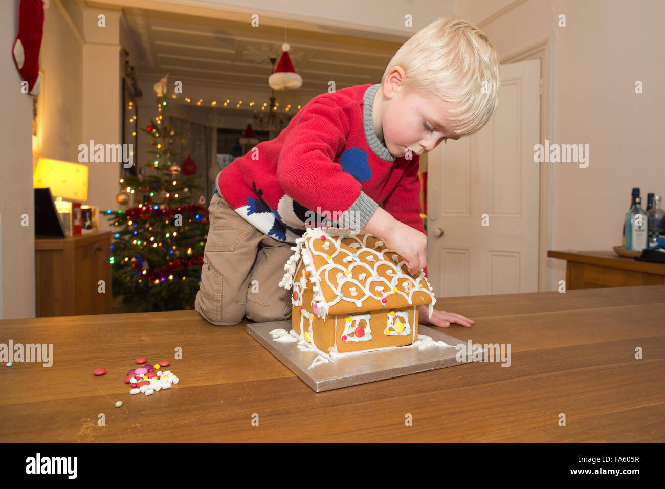 Niño de 5 años construir una casa hecha de pan de jengibre gingerbread antes de las festividades navideñas, REINO UNIDO Foto de stock