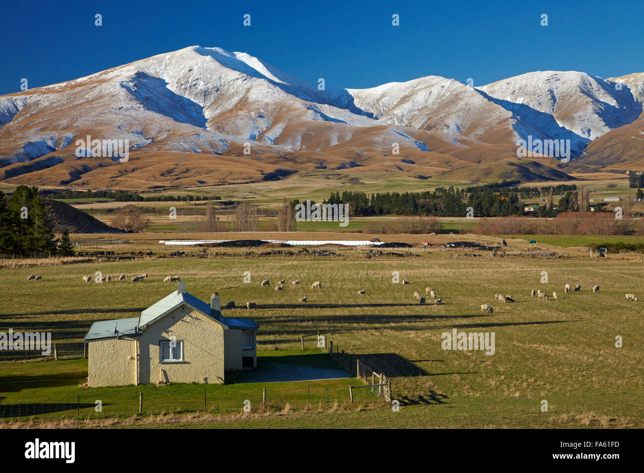 Antigua Granja edificios y montañas Kakanui Maniototo, Central Otago, Isla del Sur, Nueva Zelanda Foto de stock