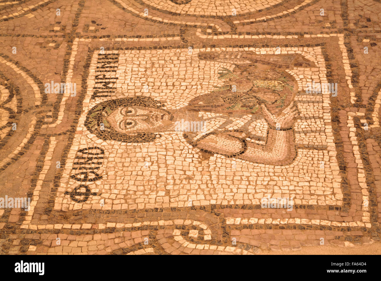 Pisos de mosaicos, Petra Iglesia (también conocida como la Iglesia Bizantina), construido entre el 5º y el 7º siglo DC, Petra, Jordania Foto de stock